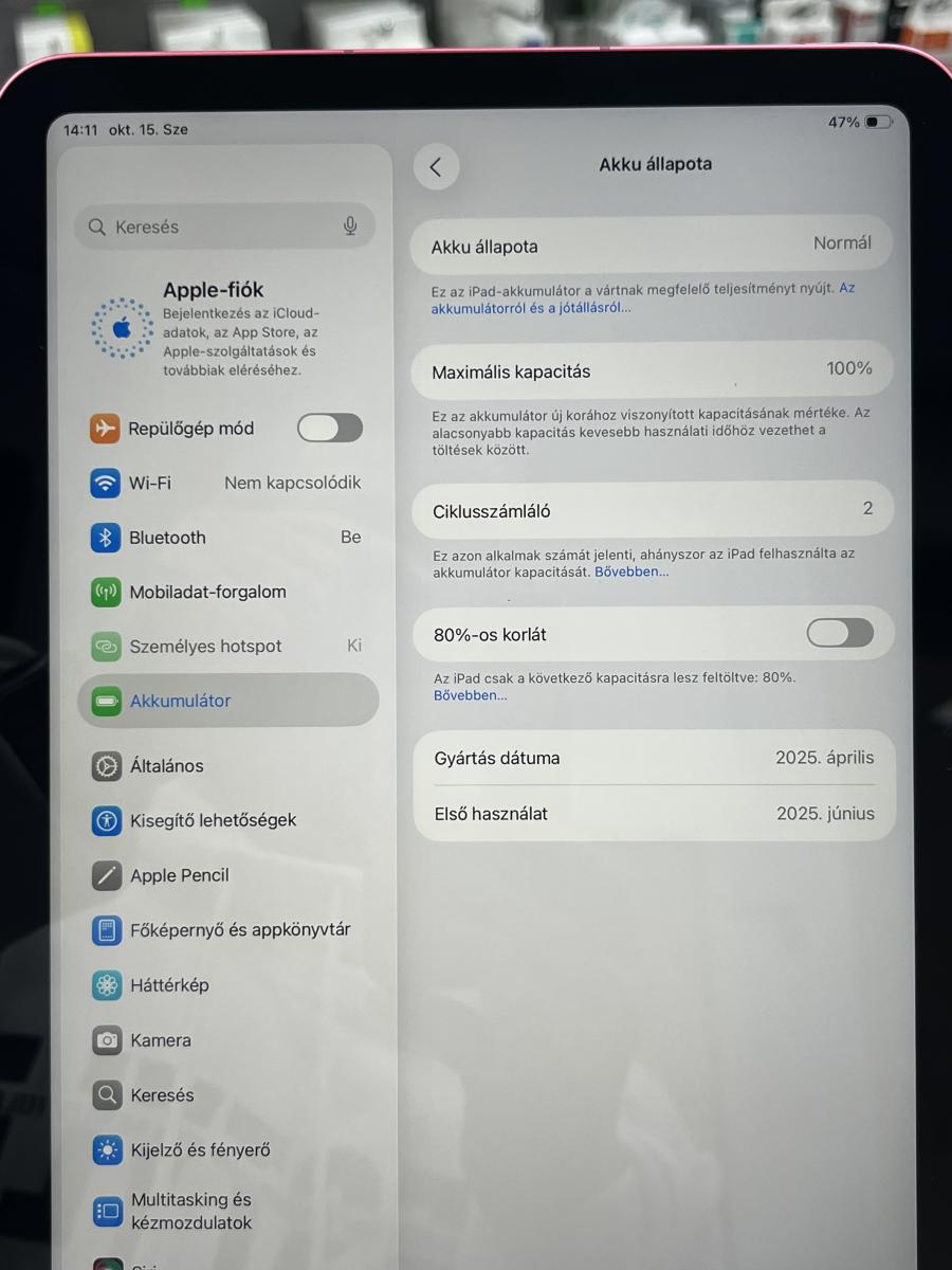  iPad 11 2025 Wi-Fi+Cellular 5G eSIM 64GB Pink