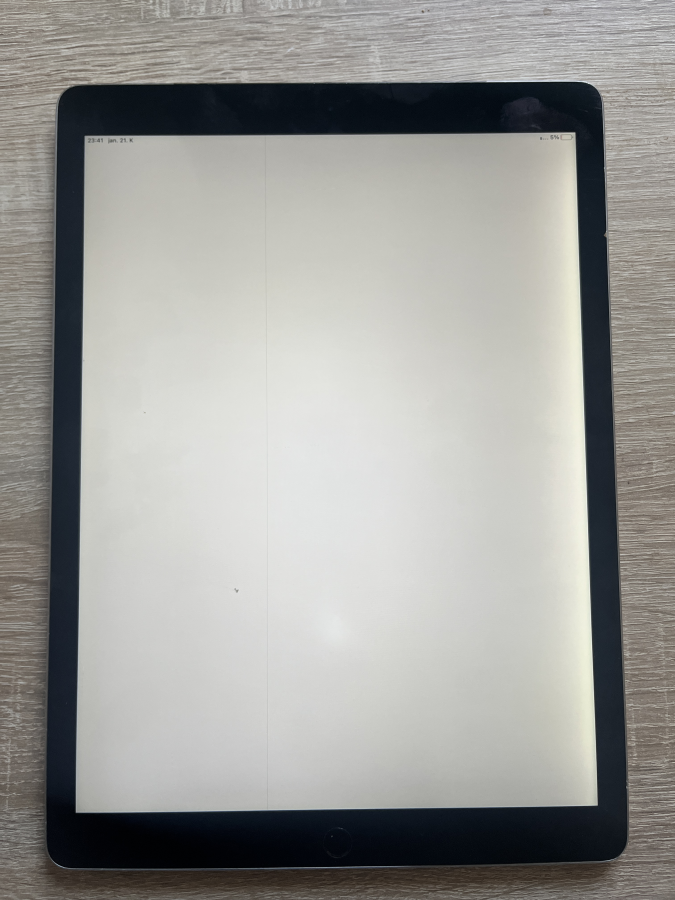 iPad Pro 12.9 1. Gen 2015 (Wi-Fi+Cellular 256GB space gray