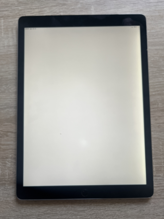 iPad Pro 12.9 1. Gen 2015 (Wi-Fi+Cellular 256GB space gray